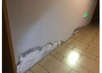 卫生间渗漏水